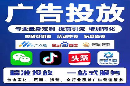 行业专家解析SEM代运营成功案例